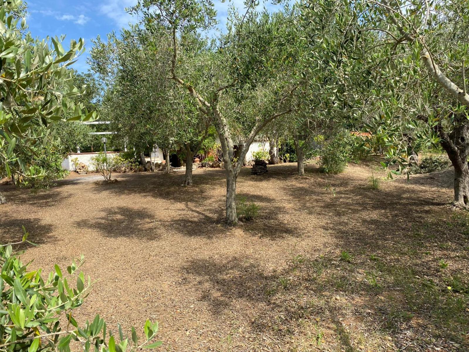 Domo Angheleda - Alghero Casa Indipendente Vicino Al Mare 외부 사진